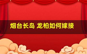 烟台长岛 龙柏如何嫁接